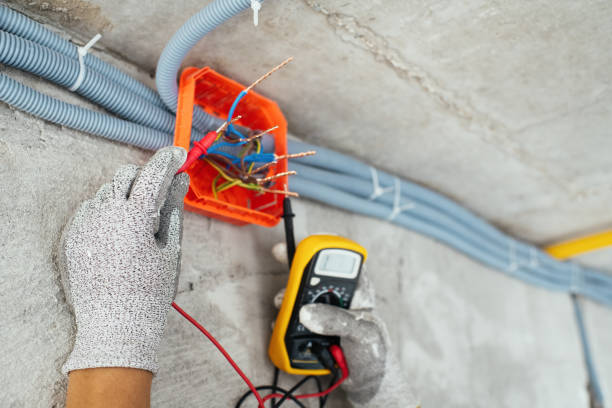 Best Electric Panel Repair  in Westwego, LA